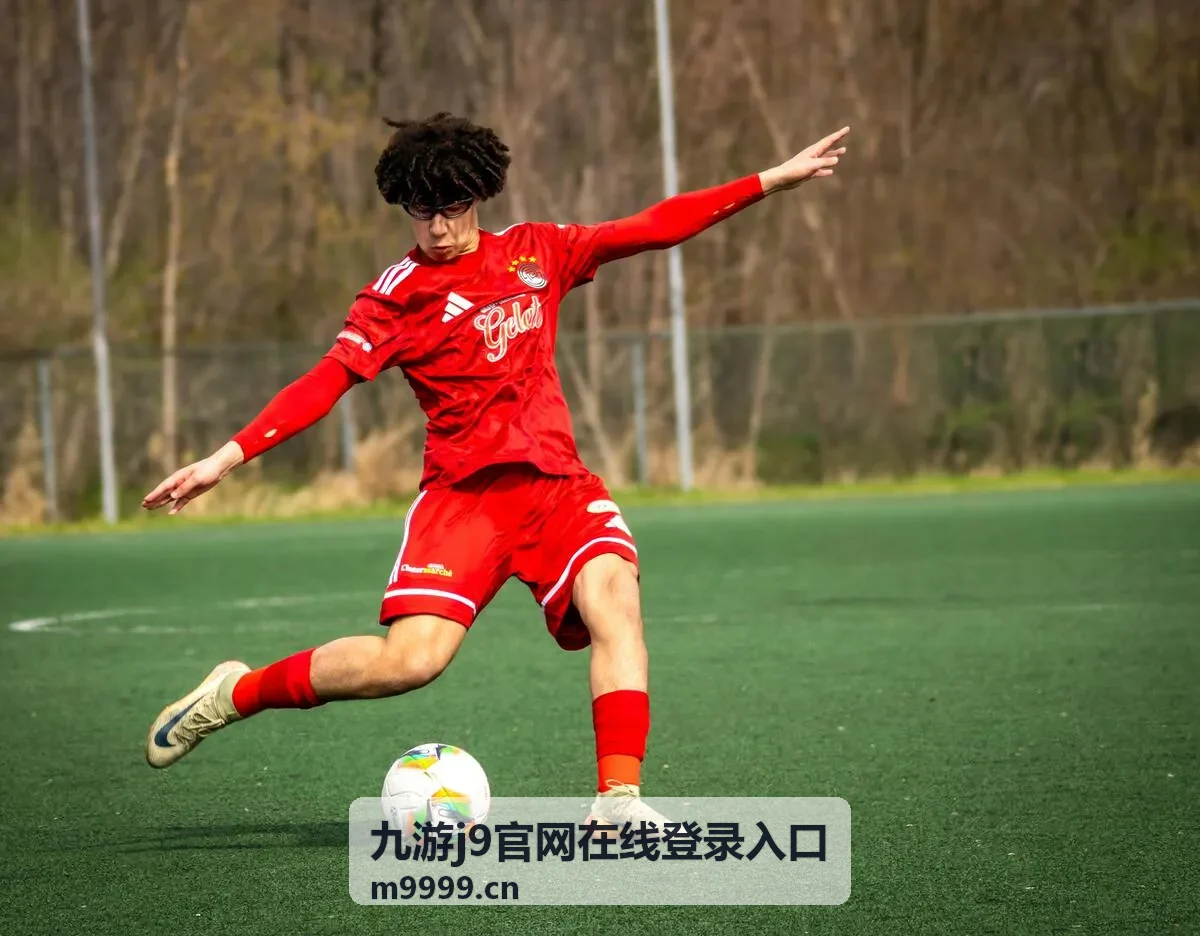 九游j9官网在线登录入口玩法与功能说明配图